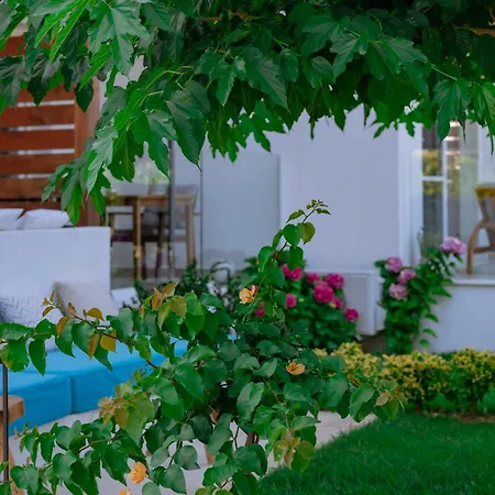 Sentimento Sea Breeze Hotel *