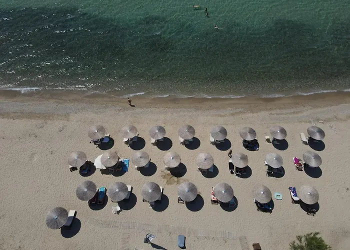 Sentimento Sea Breeze *